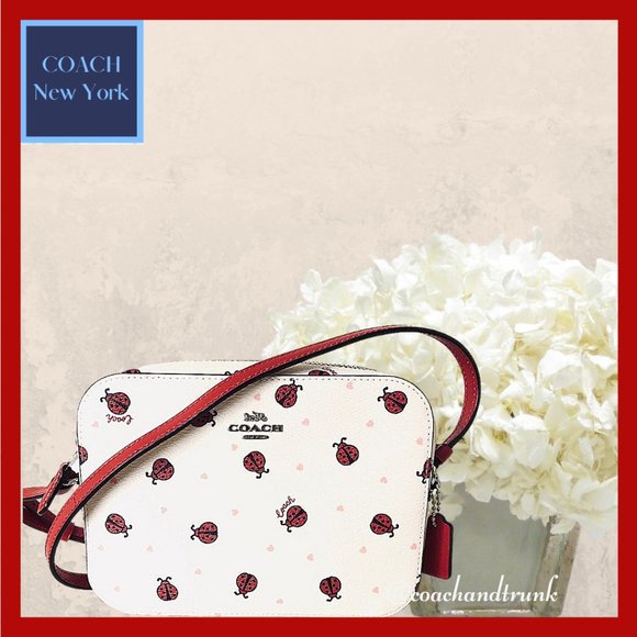 coach ladybug bag